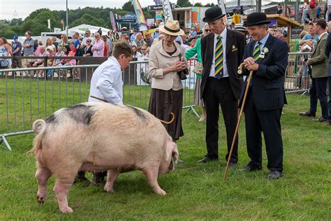 Great Yorkshire Show (@greatyorkshow) / Twitter