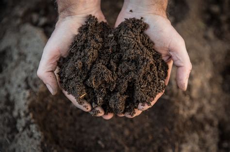 WHAT IS ORGANIC SOIL? | Kellogg Garden Products