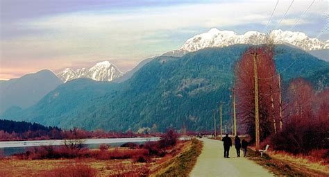 North Dike Trail (off-leash dog trail), Pitt Meadows, BC | TheDogNetwork.ca