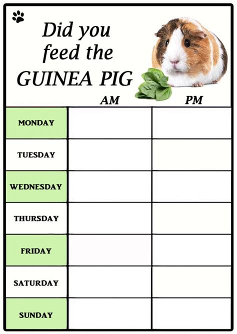 Guinea Pig Feeding Chart ‘Did You feed the Guinea Pig’ Unique Dry Wipe Flexible Magnet with ...