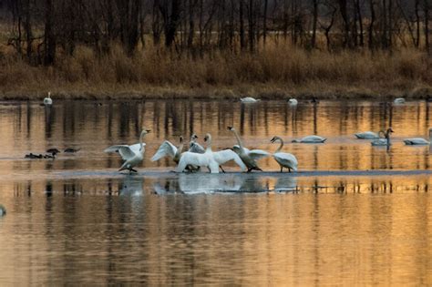 9 Best Winter Adventures in Delaware - abbyventure.com