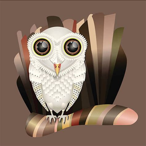 Best Barn Owl Illustrations, Royalty-Free Vector Graphics & Clip Art - iStock