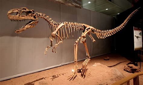 Monolophosaurus | Paleontology World