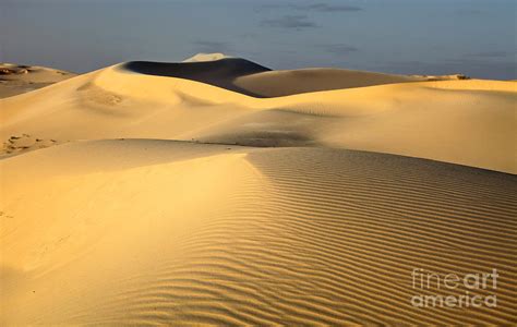 Monahans Sand Dunes Photograph by Denis Tangney Jr