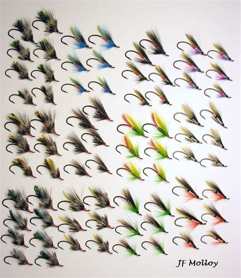 Pin by Jerome Molloy on Salmon Flies | Fly fishing flies pattern, Fly fishing, Fly tying