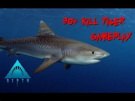Depth |Gameplay| 30+ Kills Shark Game (Tiger) - YouTube