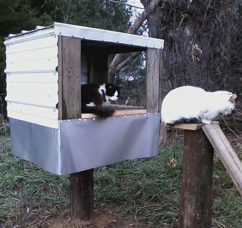 Feeding Station Options | Alley Cat Allies