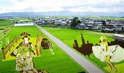 The Gigantic Rice Paddy Field Art in Inakadate, Japan | Tobeeko