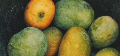 Karnataka Government Sells Mangoes On Web Portal