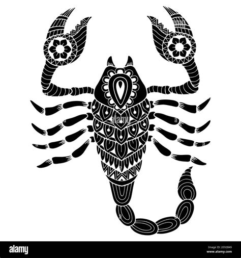 Vector scorpion hi-res stock photography and images - Alamy