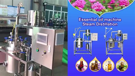 Ss304/316 Lemongrass Essential Oil Distiller/ Oil Extraction Machines ...