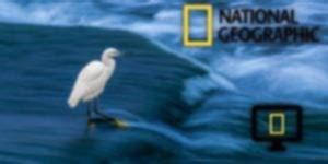 La foto del día de National Geographic y otros como fondo de pantalla – Linux-OS.net
