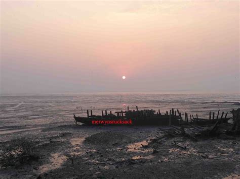 Flamingoes at Sewri Jetty | The journey of a thousand miles begins with one step