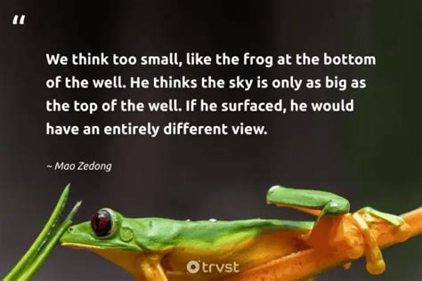 27 Frog Quotes about the Diverse Amphibians