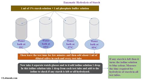 Study of Enzymatic Hydrolysis of Starch - Labmonk