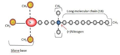 1 Chemical structure of quaternary ammonium compound | Download ...