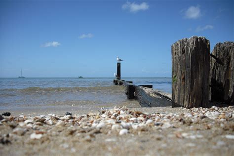 Rye, Victoria, Australia. | Beach, Favorite places, Outdoor