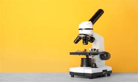 The Function of coarse adjustment knob microscope