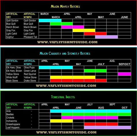 Virginia Fly Fishing: Hatch Chart, Hatch, Mayfly, Caddis, Nymph | Fly fishing, Fly fishing flies ...