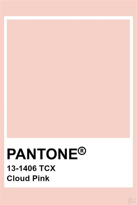 Pantone Cloud Pink Paleta Pantone, Pantone Tcx, Pantone Palette, Pantone Swatches, Pantone ...