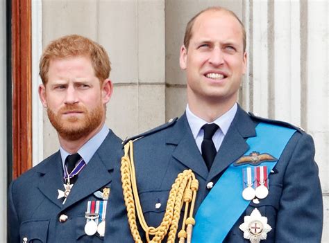 Prince Harry and Prince William Have Talked, But Only About 1 Issue