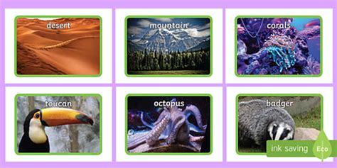 Animals Habitats Display Photos - animal display, photo display