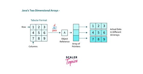 Two Dimensional Array In Java with Examples - Scaler Topics