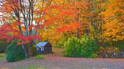 PHOTOS: Fall foliage across western Massachusetts | WWLP