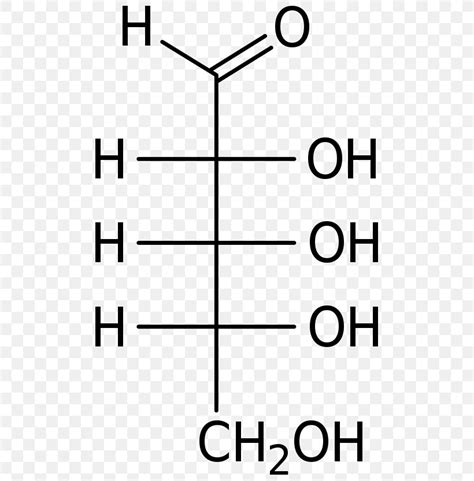 Carbohydrate Monosaccharide Fischer Projection Aldose Ribose, PNG ...