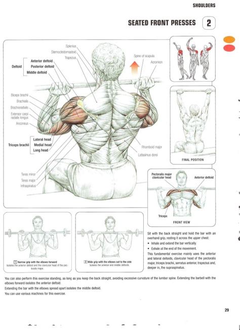 Strength training anatomy 2nd edition