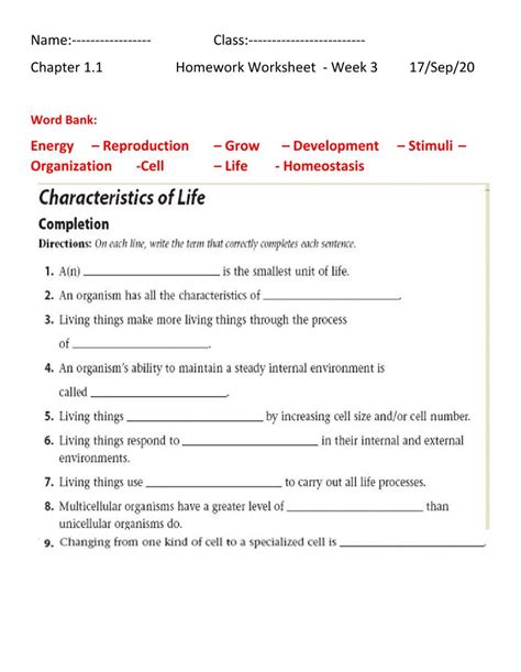 Characteristics of life Interactive worksheet Muscle Diagram, Similes And Metaphors, American ...