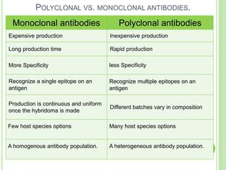 Polyclonal and monoclonal antibody production