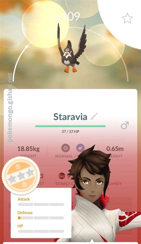 Staravia - Pokemon Go