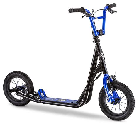 Top 15 Best Off-Road Scooters in 2023 Reviews - A Buyer's Guide | Custom choppers, Custom ...