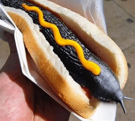 Nice hot dog : r/cursedfoods