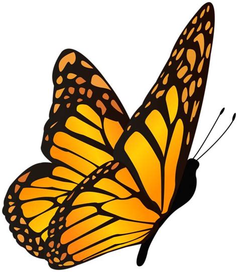 Butterfly Orange Yellow Clipart Image | Butterfly clip art, Orange butterfly, Butterfly watercolor