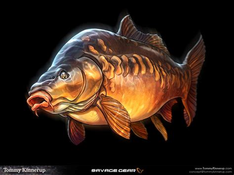 Fish Art on Behance