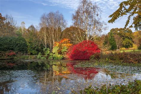 Glow Winter Illuminations at Rosemoor - Greatdays Group Tour