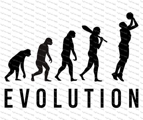 Evolution of Basketball – Vinyl Creation Supply