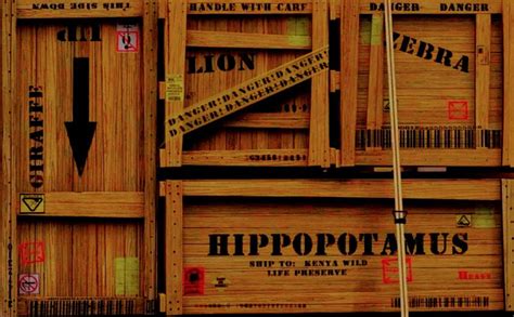 Madagascar crates by mac876 on DeviantArt