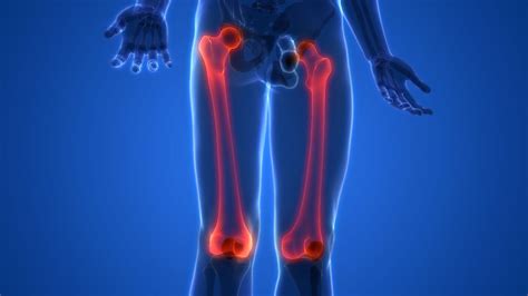 What Is the Largest Bone in the Body? - WorldAtlas.com