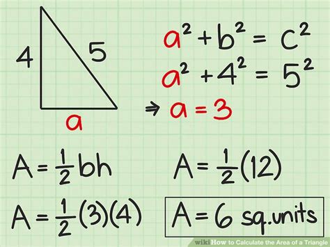 Area of Triangle - Lindley Sixth Math