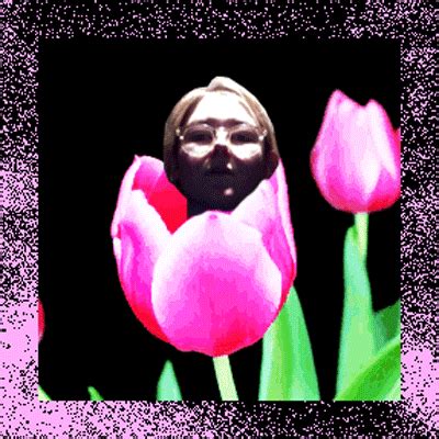 Tulip-glove GIFs - Get the best GIF on GIPHY