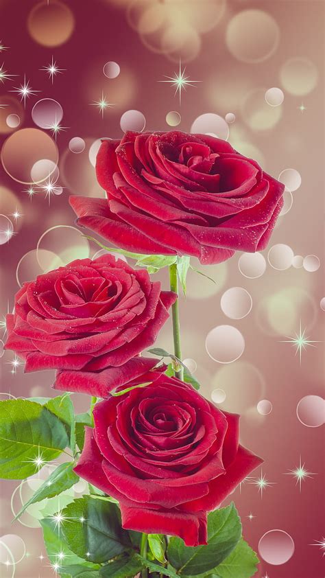 Pink Roses Flowers Wallpaper 1920×1080 | Best Flower Site