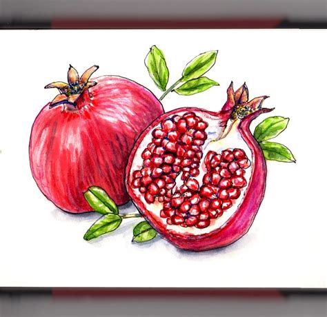 Happy Pomegranate Month! ~ Doodlewash®