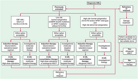 what is the cure rate for aml leukemia Leukemia cutis; skin lesions & treatment options