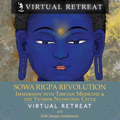 Sowa Rigpa Revolution: Immersion into Tibetan Medicine and the Yuthok ...