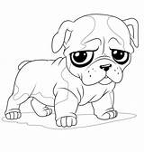 Pug Coloring Pages  Best For Kids sketch template