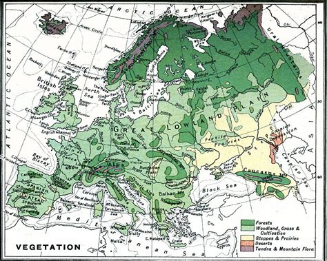 Vegetation Map of Europe, 1915. | Map, Geography map, Europe map