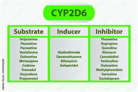 CYP2D6 Cytochrome p450 enzyme pharmaceutical substrates, inhibitors and ...